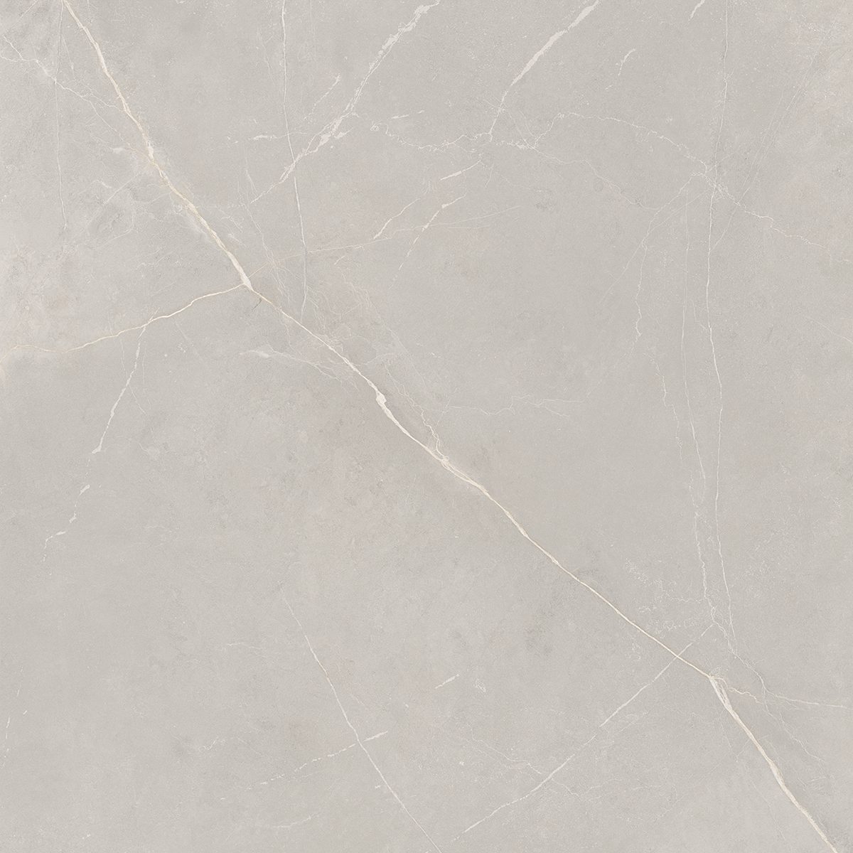 NL02 Nolana Light Grey 600x600 неполированный серый