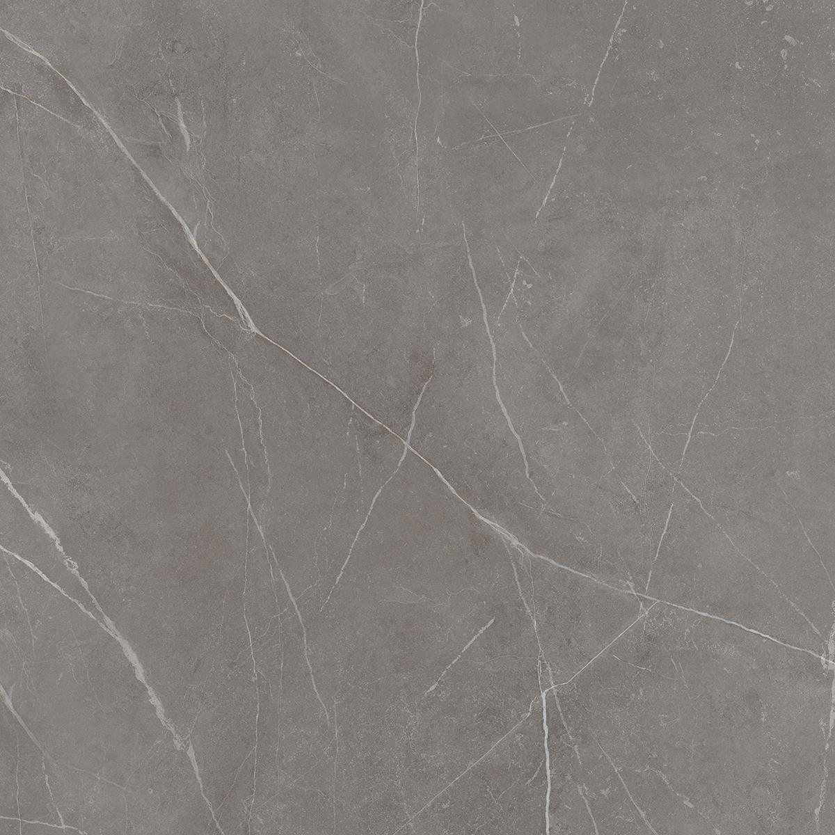 NL03 Nolana Dark Grey 600x600 неполированный серый