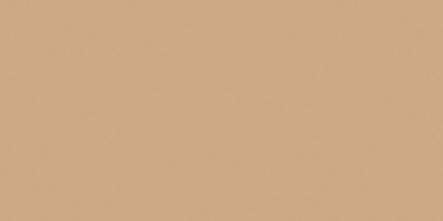 RW15 Rainbow Beige 600x1200 неполированный бежевый